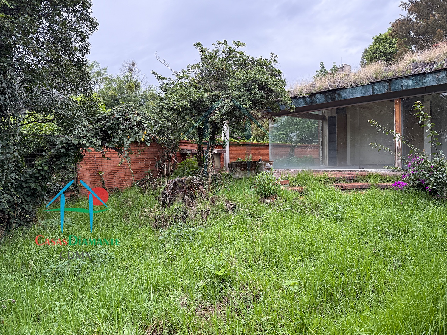 Bosques de las Lomas Terreno Jaguar BBC - Propiedad a demoler 31